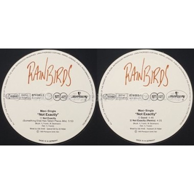 Rainbirds - Not Exactly • 12" Vinyl Maxi • EX - Labyrinth Music