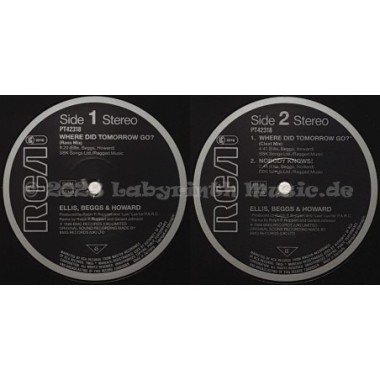 Ellis, Beggs & Howard - Where Did Tomorrow Go? • 12" Vinyl Maxi • EX - Labyrinth Music