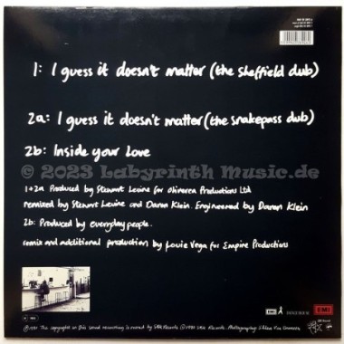 Everyday People - I Guess It Doesn't Matter • 12" Vinyl Maxi • MINT - Labyrinth Music