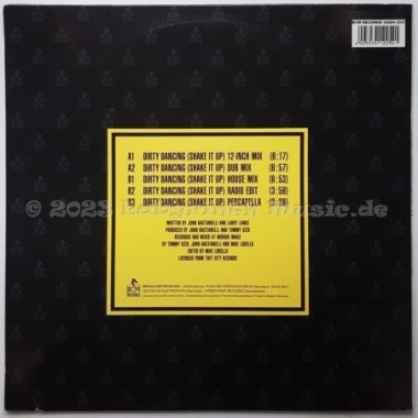 Ian Iyce - Dirty Dancing (Shake It Up) • 12" Vinyl Maxi • EX - Labyrinth Music