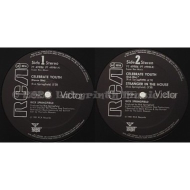Rick Springfield - Celebrate Youth • 12" Vinyl Maxi • NM - Labyrinth Music