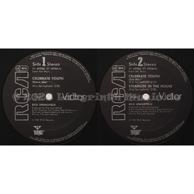 Rick Springfield - Celebrate Youth • 12" Vinyl Maxi • EX - Labyrinth Music