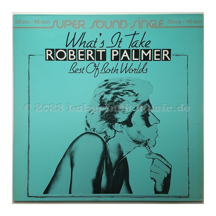 Robert Palmer - What's It Take • 12" Vinyl Maxi • EX - Labyrinth Music