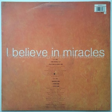 The Pasadenas - I Believe In Miracles • 12" Vinyl Maxi • EX - Labyrinth Music