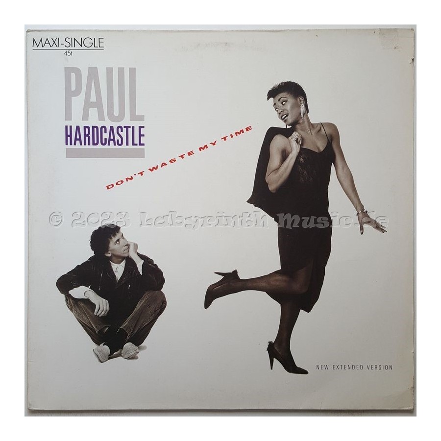Paul Hardcastle - Don't Waste My Time • 12" Vinyl Maxi • EX - Labyrinth Music