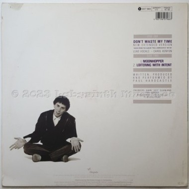 Paul Hardcastle - Don't Waste My Time • 12" Vinyl Maxi • EX - Labyrinth Music