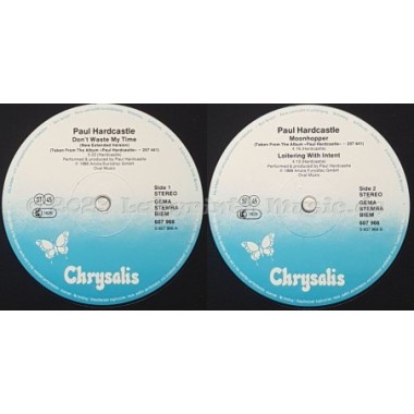 Paul Hardcastle - Don't Waste My Time • 12" Vinyl Maxi • EX - Labyrinth Music