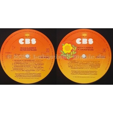 Peter Hofmann - Rock Classics • 12" Vinyl LP • NM - Labyrinth Music