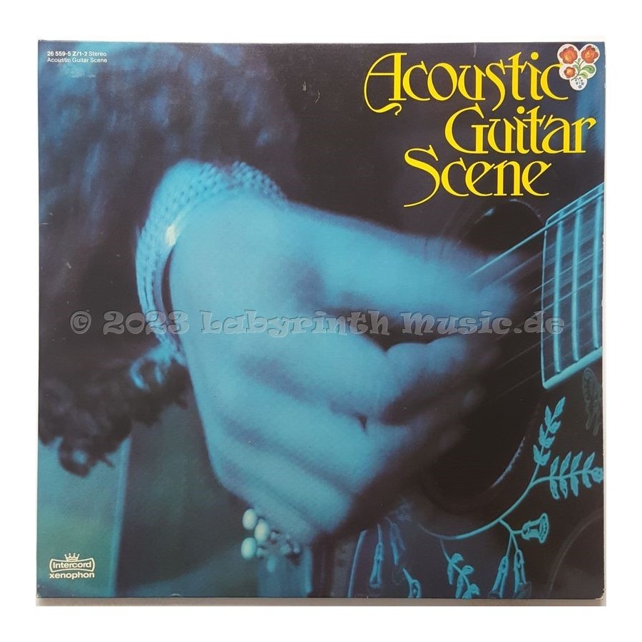 Various - Acoustic Guitar Scene • 12" Vinyl LP • EX - Labyrinth Music