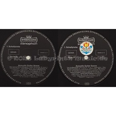 Various - Acoustic Guitar Scene • 12" Vinyl LP • EX - Labyrinth Music