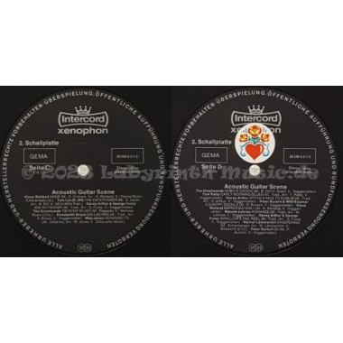 Various - Acoustic Guitar Scene • 12" Vinyl LP • EX - Labyrinth Music