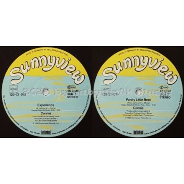 Connie - Experience • 12" Vinyl Maxi • EX - Labyrinth Music