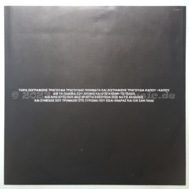 Wolfgang Niedecken & Complizen - Schlagzeiten • 12" Vinyl LP • NM - Labyrinth Music