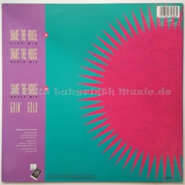 Misa - Shake The House • 12" Vinyl Maxi • EX - Labyrinth Music