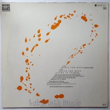 The Conway Brothers - Raise The Roof • 12" Vinyl Maxi • EX - Labyrinth Music