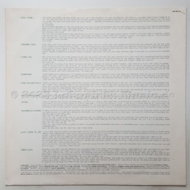 Chris Rea - Shamrock Diaries • 12" Vinyl LP • EX - Labyrinth Music