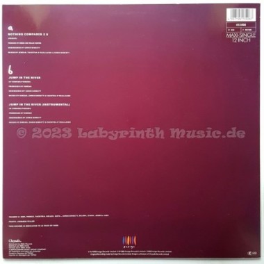 Sinéad O'Connor - Nothing Compares 2 U • 12" Vinyl Maxi • NM - Labyrinth Music