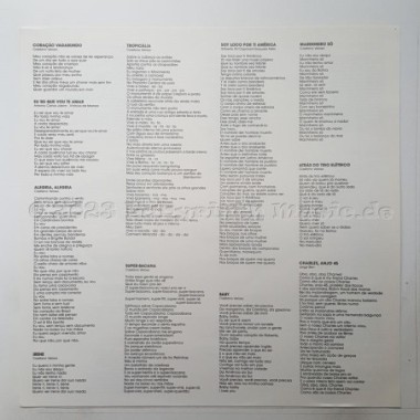 Caetano Veloso - A Arte De Caetano Veloso • 12" Vinyl LP • MINT - Labyrinth Music