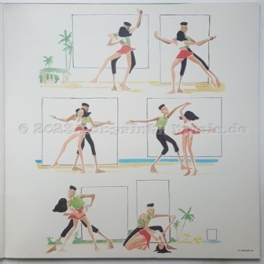 Various - Lambada • 12" Vinyl LP • MINT - Labyrinth Music