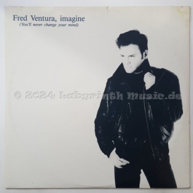 Fred Ventura - Imagine • 12" Vinyl Maxi • EX - Labyrinth Music