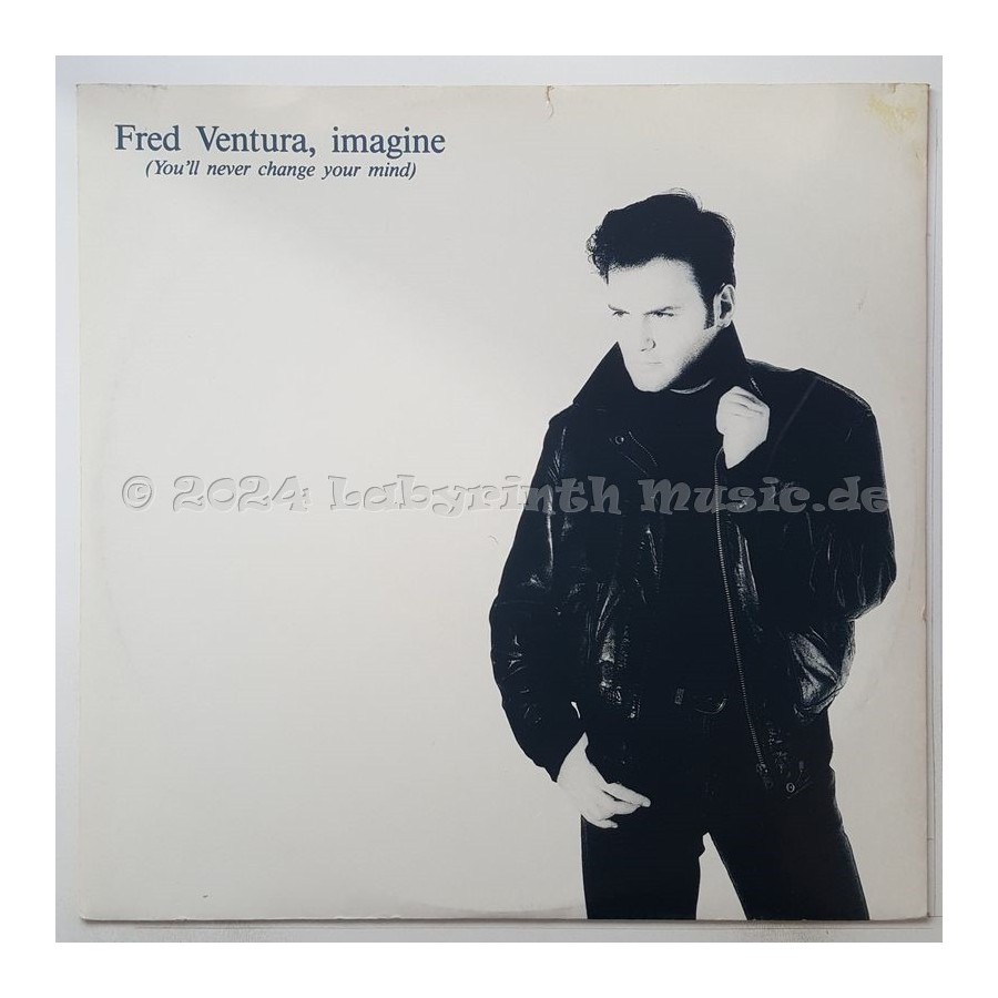 Fred Ventura - Imagine • 12" Vinyl Maxi • EX - Labyrinth Music