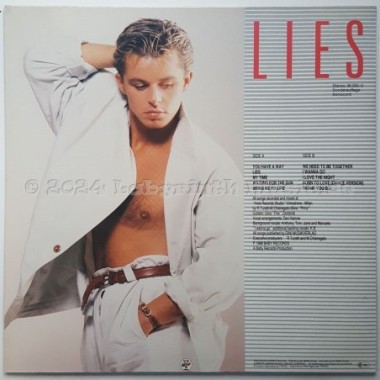 Den Harrow - Lies • LP • 12" Vinyl LP • NM - Labyrinth Music