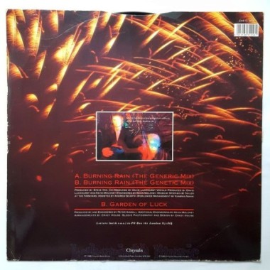 Crazy House - Burning Rain • 12" Vinyl Maxi - Labyrinth Music