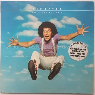 Leo Sayer - Endless Flight • 12" Vinyl LP - Labyrinth Music