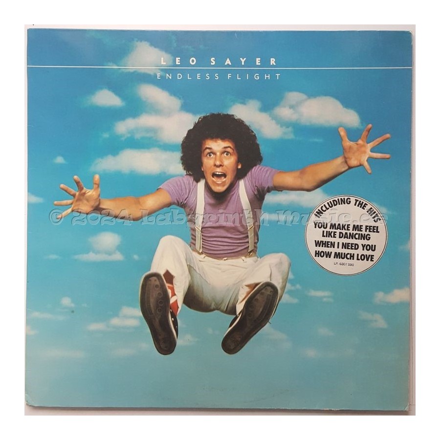 Leo Sayer - Endless Flight • 12" Vinyl LP - Labyrinth Music