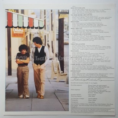 Leo Sayer - Endless Flight • 12" Vinyl LP - Labyrinth Music