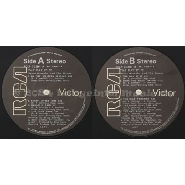 Bruce Hornsby And The Range - The Way It Is • 12" Vinyl LP • EX - Labyrinth Music