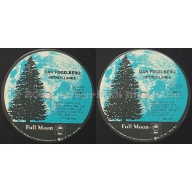 Dan Fogelberg - Nether Lands • 12" Vinyl LP - Labyrinth Music