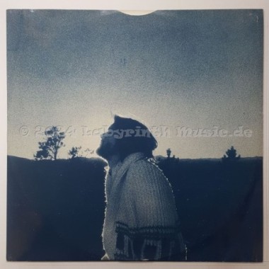 Dan Fogelberg - Nether Lands • 12" Vinyl LP - Labyrinth Music