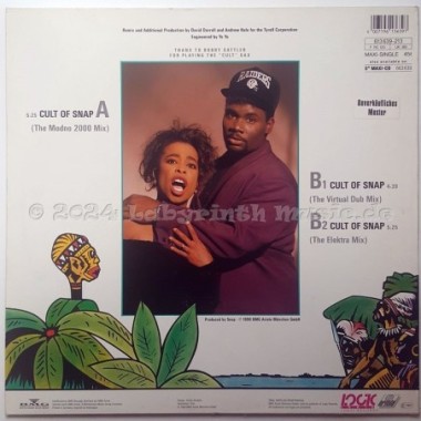 Snap! - Cult Of Snap • Remix By Dave Dorrell • 12" Vinyl Maxi • EX - Labyrinth Music