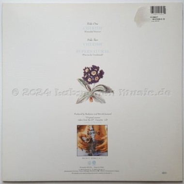 Madonna - Cherish • 12" Vinyl Maxi • MINT - Labyrinth Music