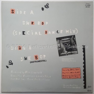 Cyndi Lauper - She Bop • 12" Vinyl Maxi • EX - Labyrinth Music