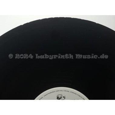 Jimmy Castor - Troglodyte (Cave Man) • 12" Vinyl Maxi - Labyrinth Music