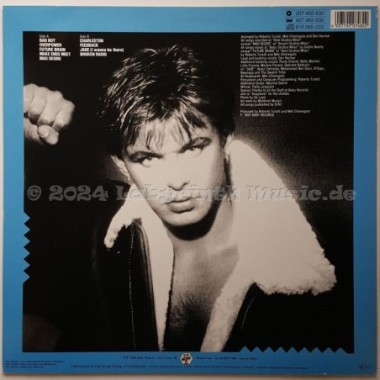 Den Harrow - Overpower • 12" Vinyl LP - Labyrinth Music