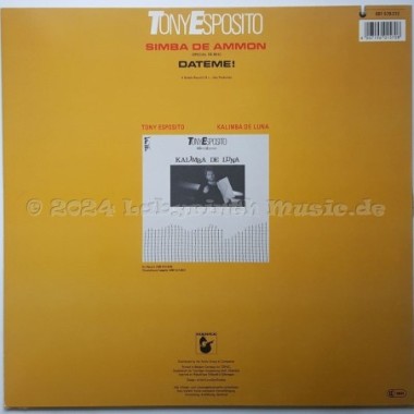 Tony Esposito - Simba De Ammon • 12" Vinyl Maxi • EX - Labyrinth Music