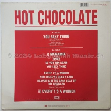 Hot Chocolate - You Sexy Thing • Extended Replay Mix • 12" Vinyl Maxi - Labyrinth Music