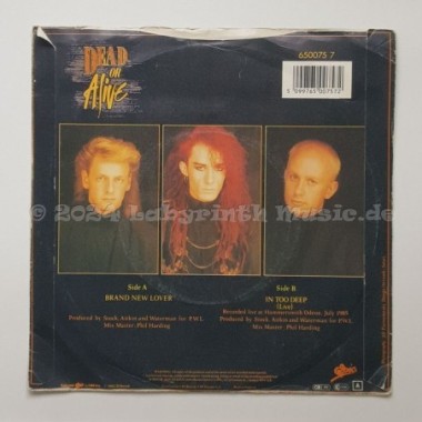 Dead Or Alive - Brand New Lover • 7" Vinyl • EX - Labyrinth Music
