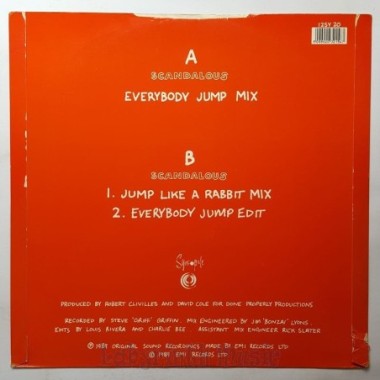 2 Puerto Ricans, A Blackman And A Dominican - Scandalous • 12" Vinyl Maxi - Labyrinth Music