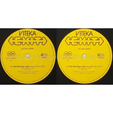 Olivia Gray - In The Morning Light • 12" Vinyl Maxi - Labyrinth Music