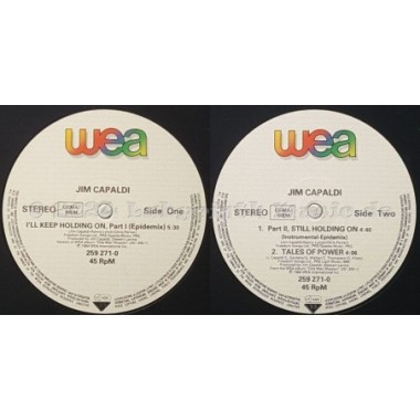 Jim Capaldi - I'll Keep Holding On • 12" Vinyl Maxi • EX - Labyrinth Music