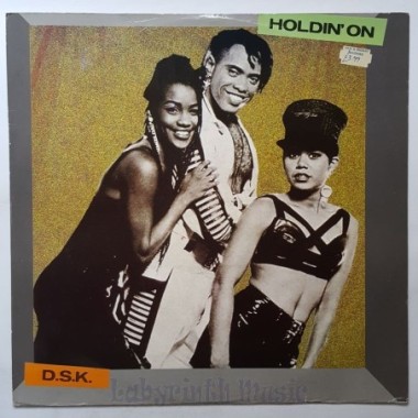 D.S.K. - Holdin' On • 12" Vinyl Maxi - Labyrinth Music