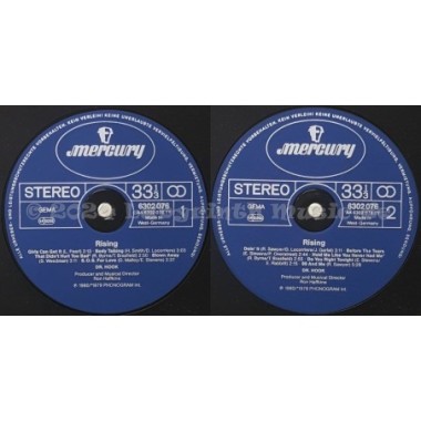 Dr. Hook - Rising • 12" Vinyl LP • EX - Labyrinth Music