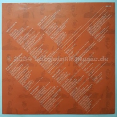 Dr. Hook - Rising • 12" Vinyl LP • EX - Labyrinth Music