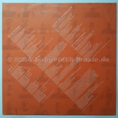 Dr. Hook - Rising • 12" Vinyl LP • EX - Labyrinth Music