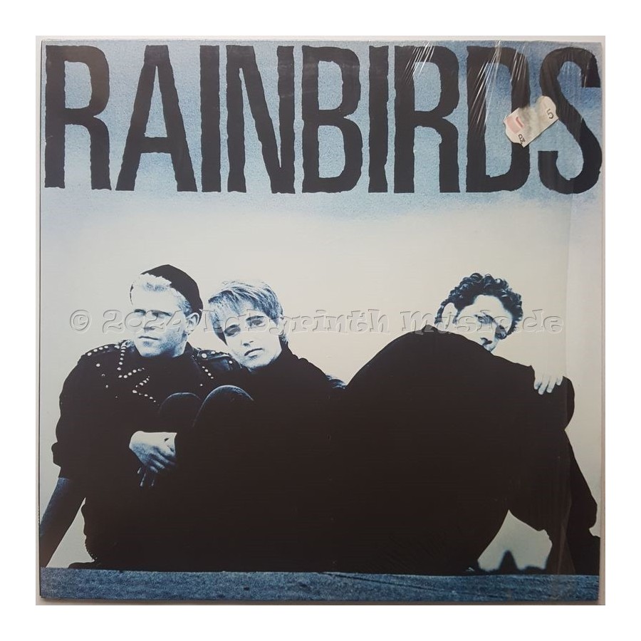 Rainbirds - Rainbirds • 12" Vinyl LP • NM - Labyrinth Music