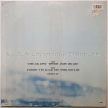 Rainbirds - Rainbirds • 12" Vinyl LP • NM - Labyrinth Music